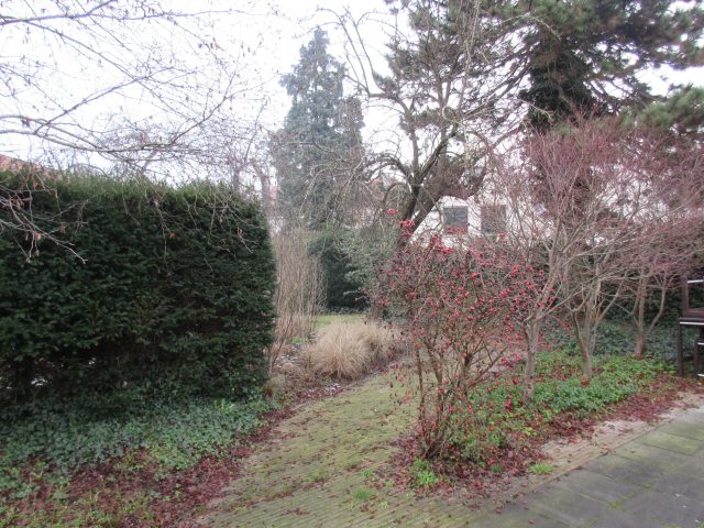 Tuin van het restaurant.